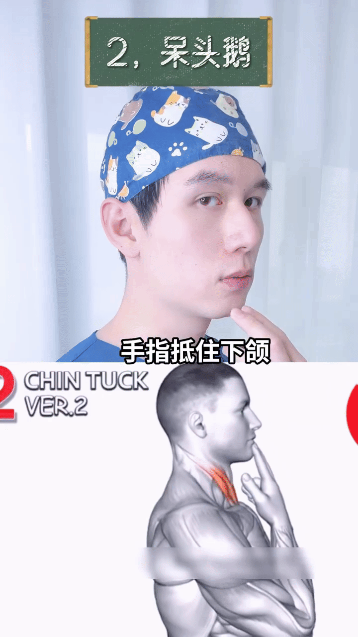 动作二：呆头鹅