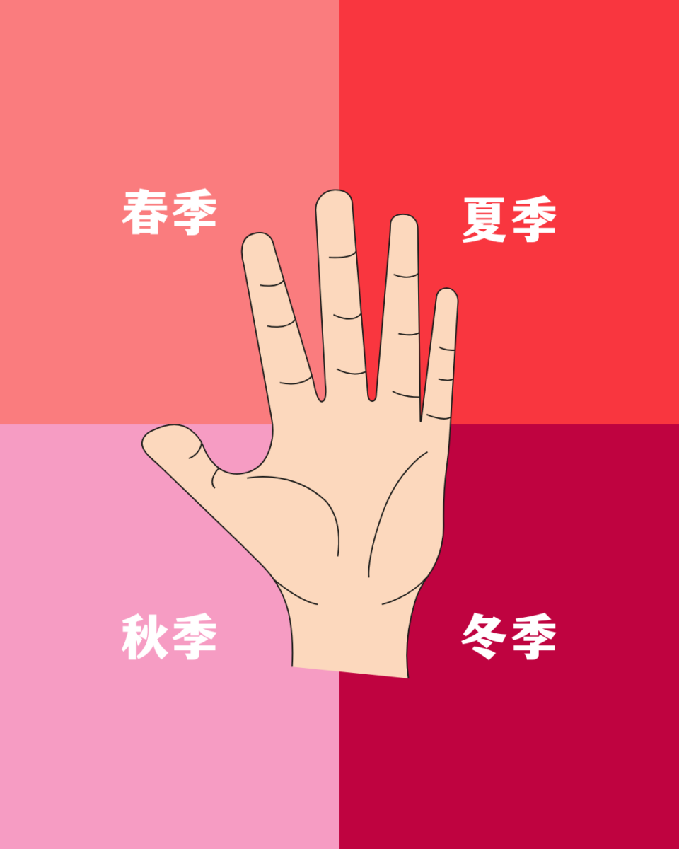 四季型色彩测试
