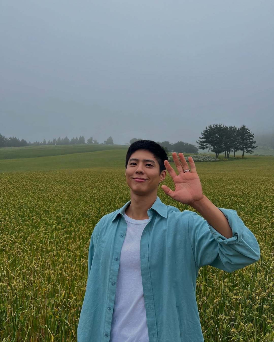 《苦尽柑来遇见你》