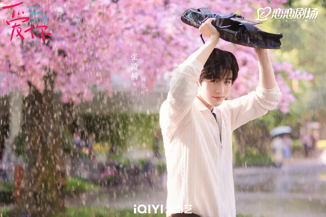 张凌赫｜《爱你》 何苏叶