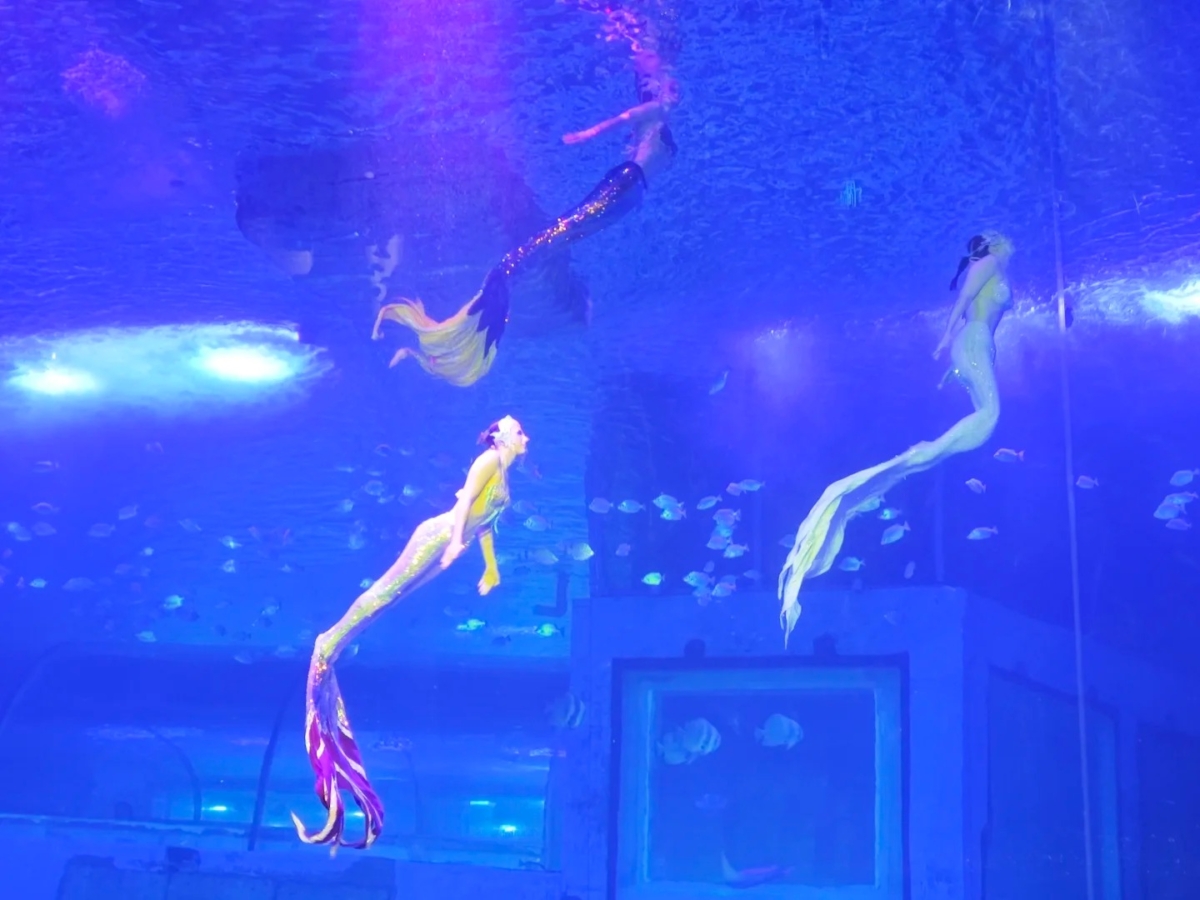 正佳极地海洋世界