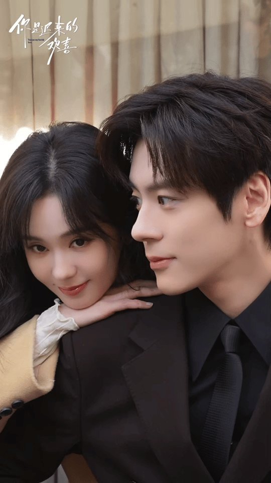 《你是迟来的欢喜》