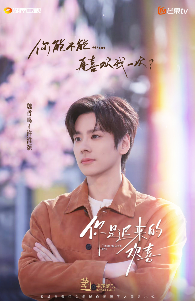 《你是迟来的欢喜》