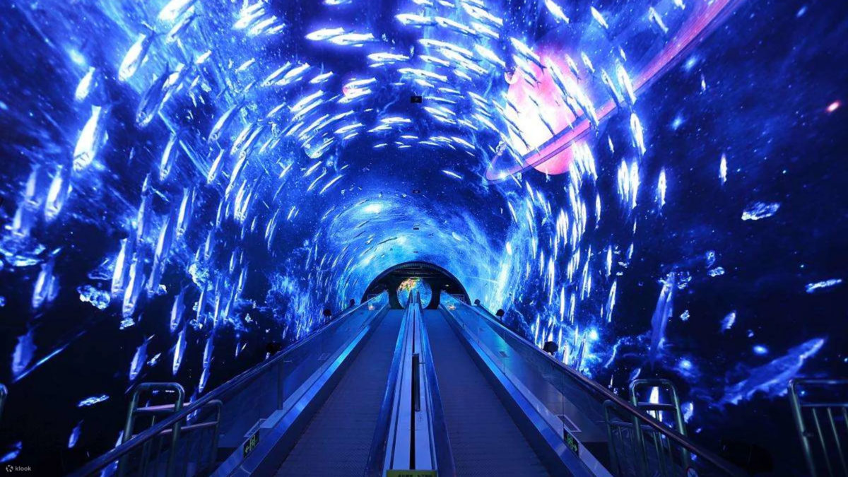 正佳极地海洋世界