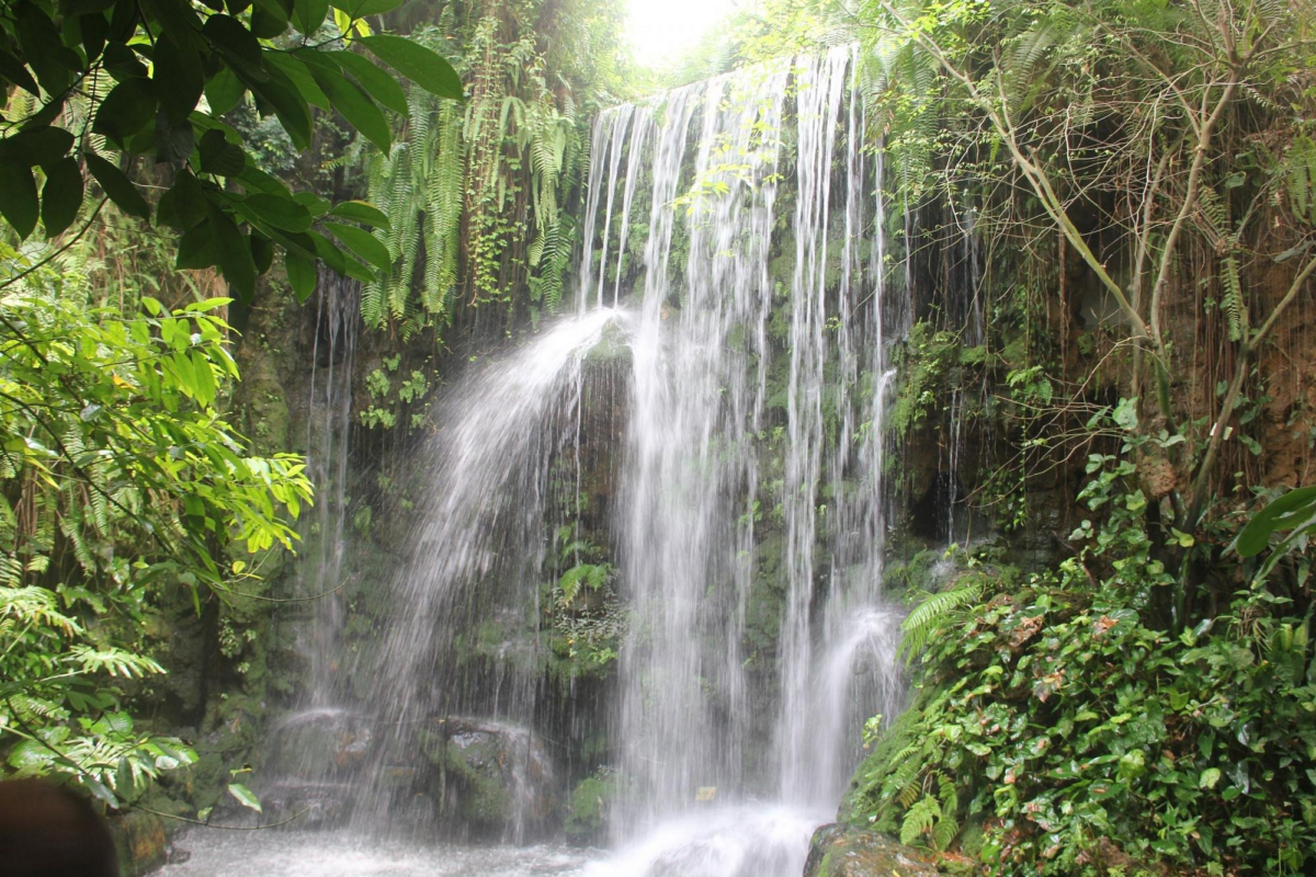 华南国家植物园