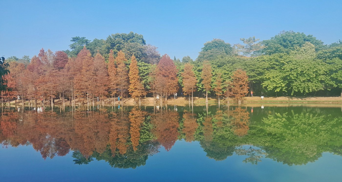 华南国家植物园