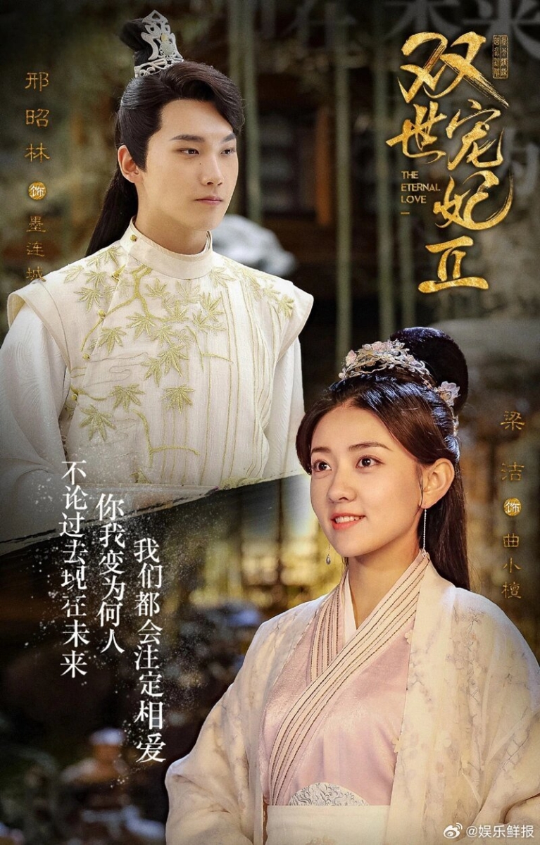 14. 《双世宠妃》(2017)