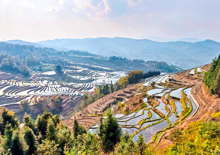 元阳梯田