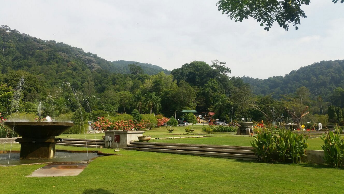 槟城植物公园（Penang Botanic Garden）