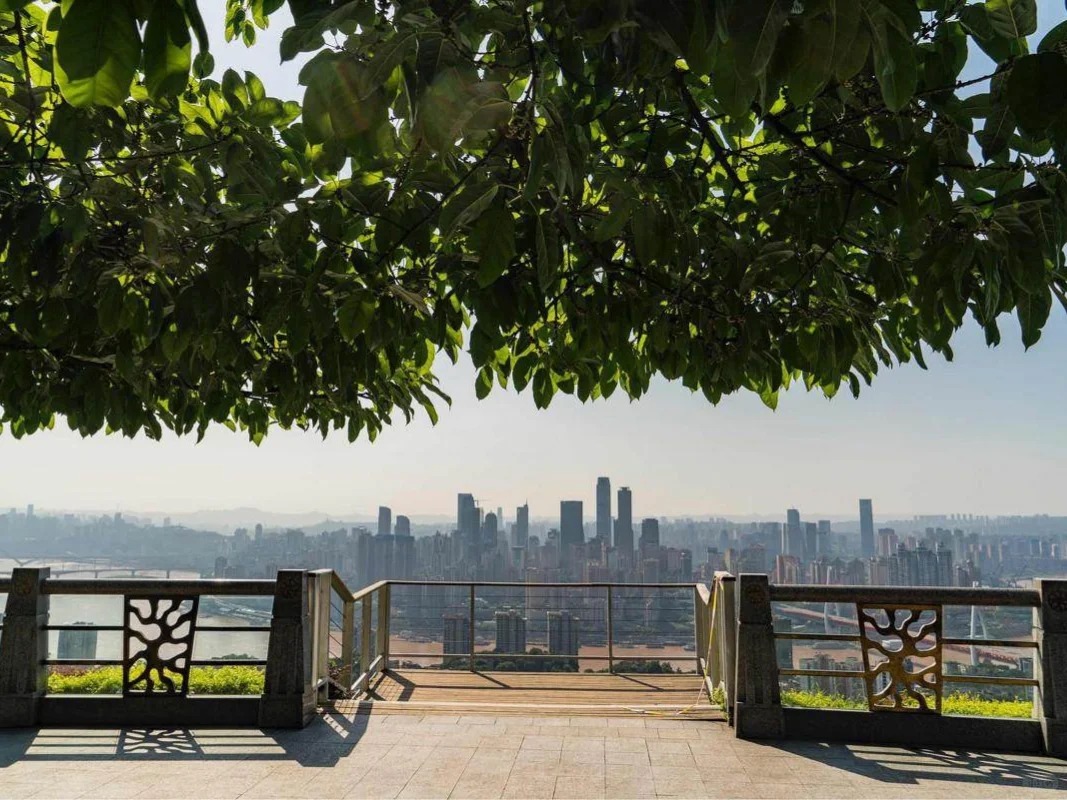 南山一棵树观景台