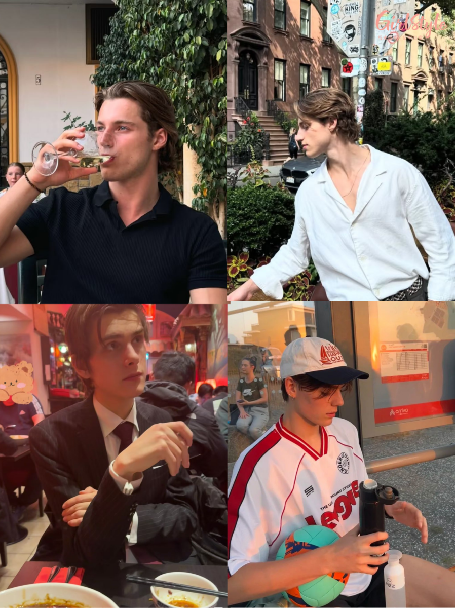 第4名：荷兰 (The Netherlands) - 温柔的巨人，行走的电线杆