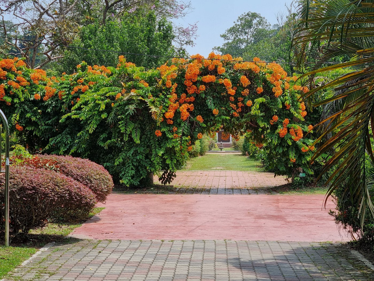 槟城植物公园（Penang Botanic Garden）