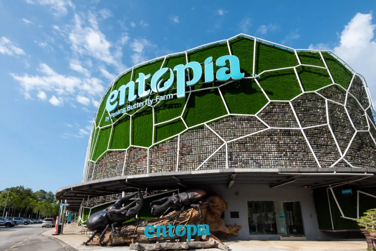 槟城蝴蝶公园（Entopia by Penang Butterfly Farm）