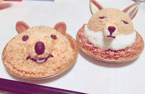 和满脸笑容的短尾袋放在一起