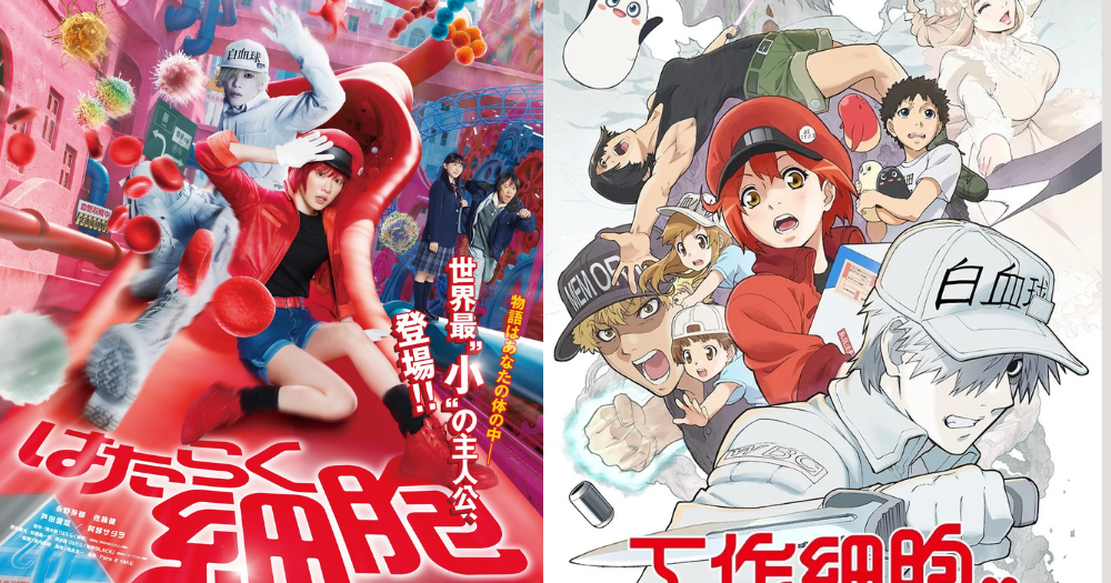 19. 《工作细胞》