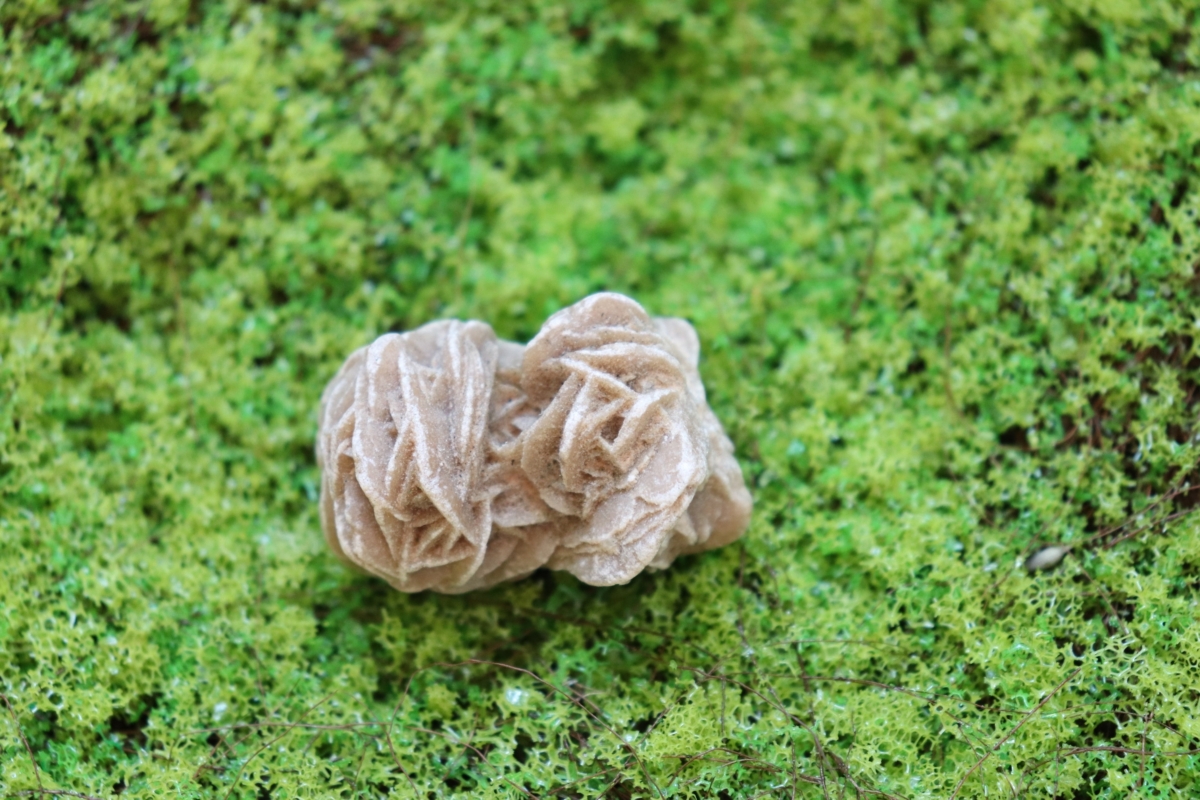 沙漠玫瑰外型独特，呈现玫瑰状结晶！