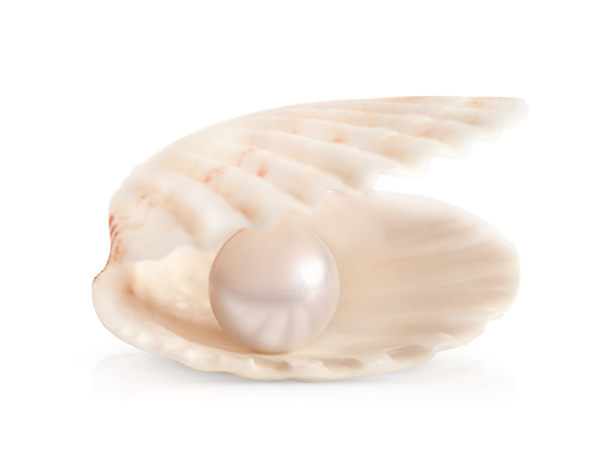 珍珠（pearl）是一种由贝类（像牡蛎或蚌）在海水或淡水中形成的天然有机宝石。