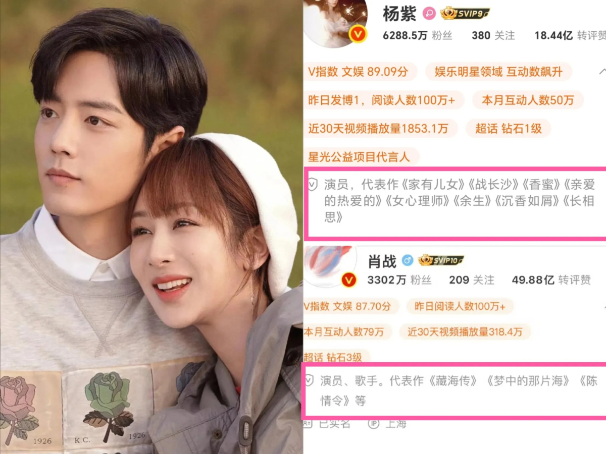 肖战在代表作里删除《余生》