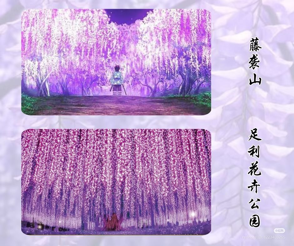 3.紫藤花试炼场