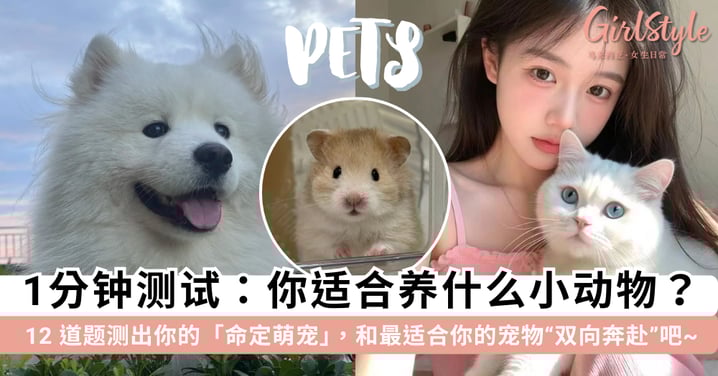 你适合养什么小动物？12 道题测出你的「命定萌宠」——是温顺治愈、小巧安静、活泼好动还是小众冷门？