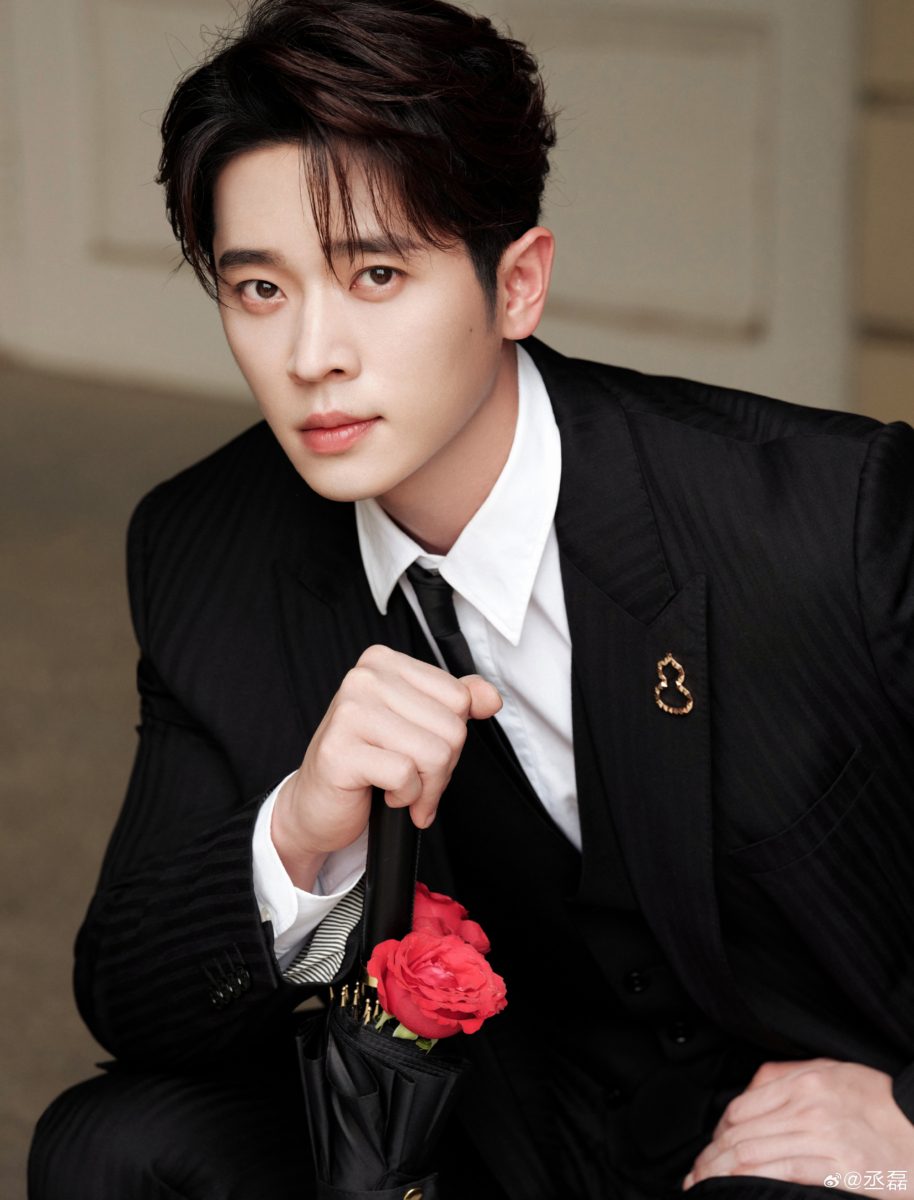 丞磊原名杨辉翔