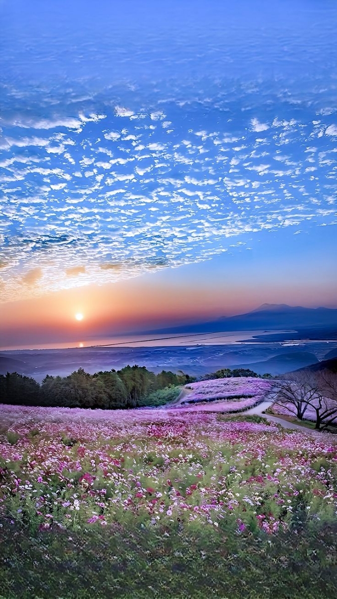 1. 风景照系 🌄