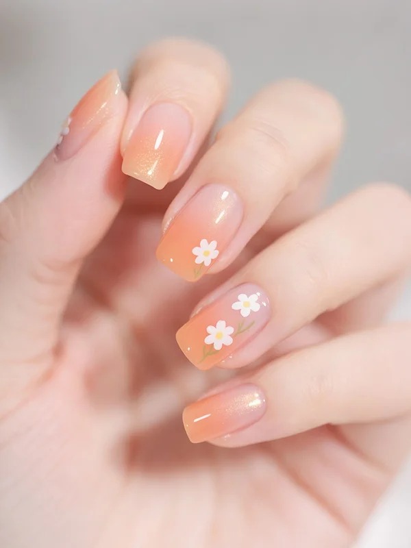 夏日蜜橘