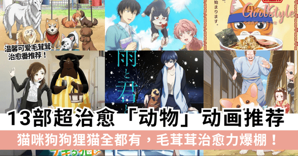 猫奴狗派必看！13部超治愈动物动画推荐，猫咪狗狗狸猫全都有+毛茸茸治愈力爆棚！