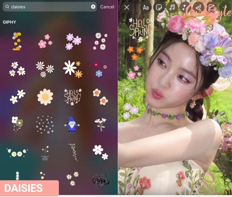 𝐝𝐚𝐢𝐬𝐢𝐞𝐬