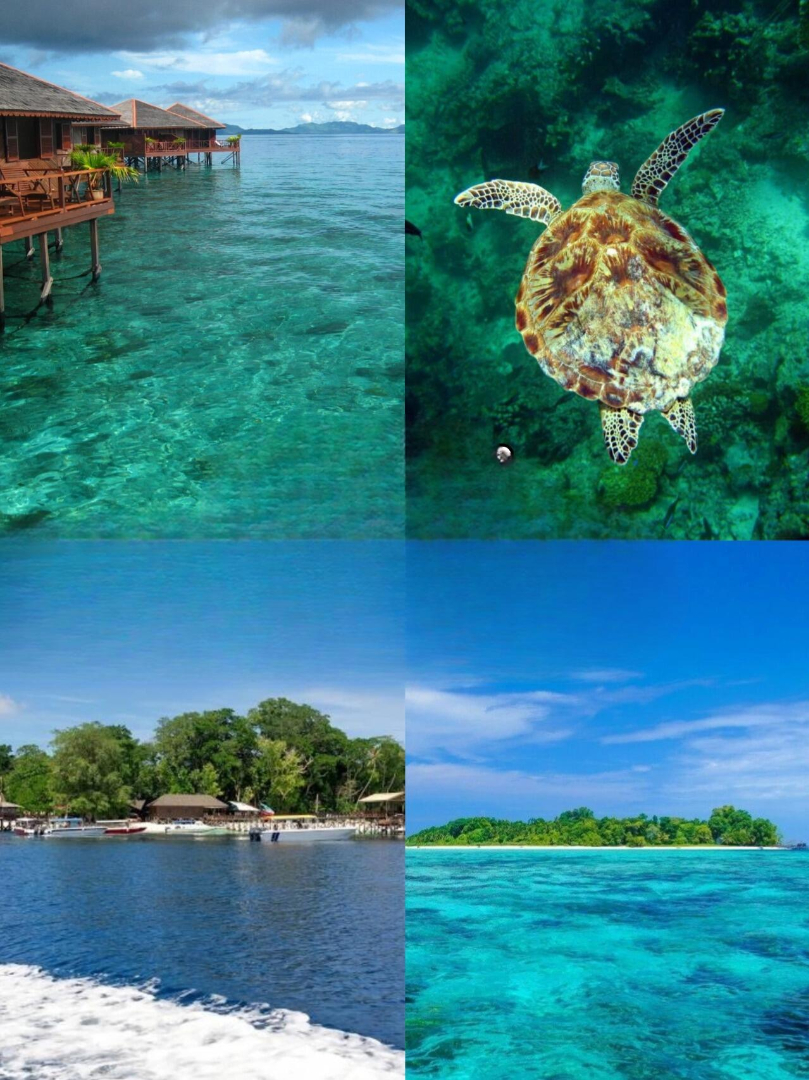 4. 诗巴丹岛 Pulau Sipadan