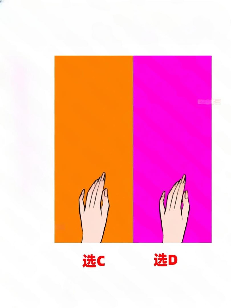 .暖橙色 vs 冷粉色对比