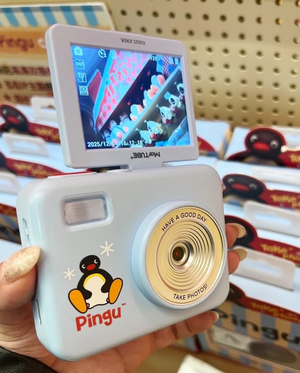 Pingu CCD 相机