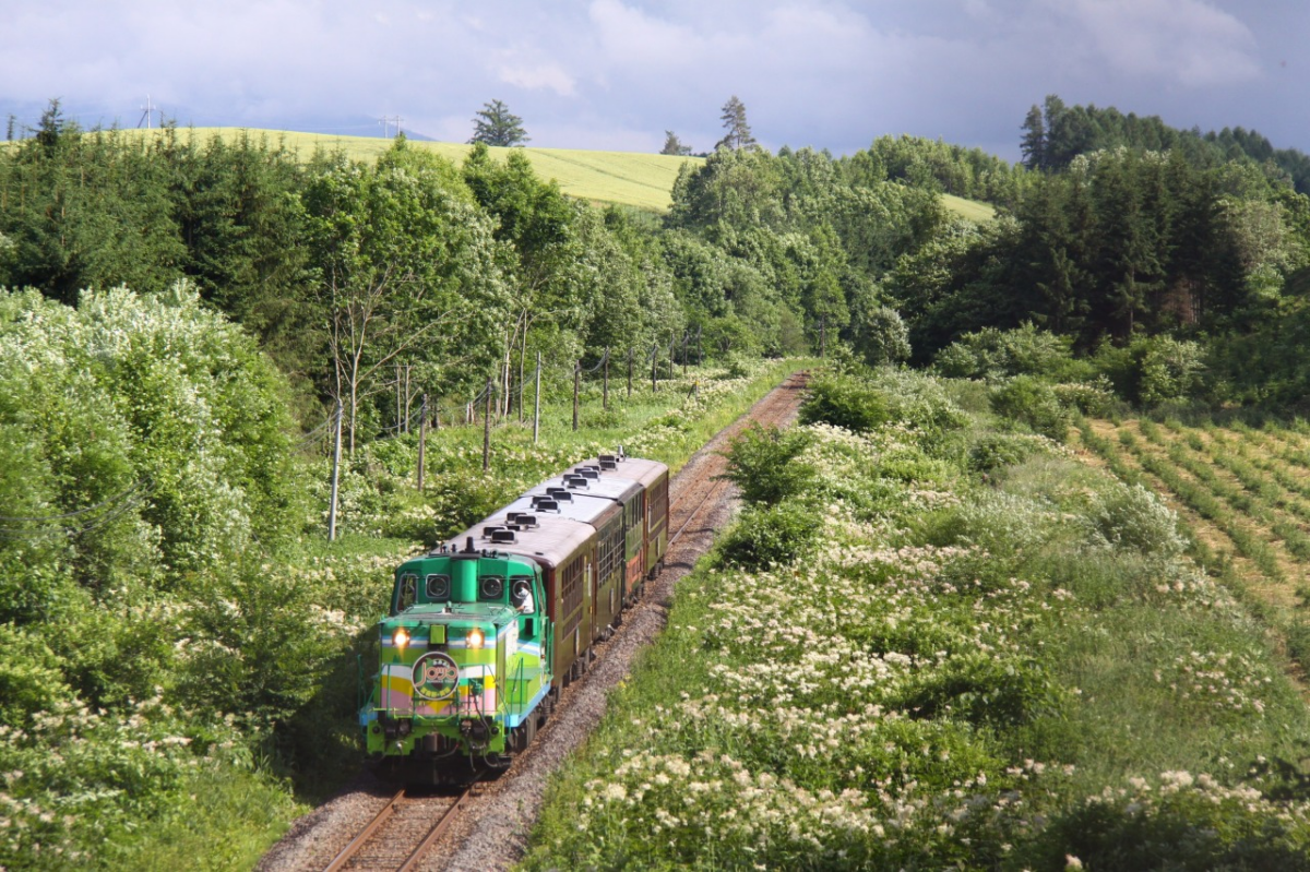 交通指南：如何抵达富良野
