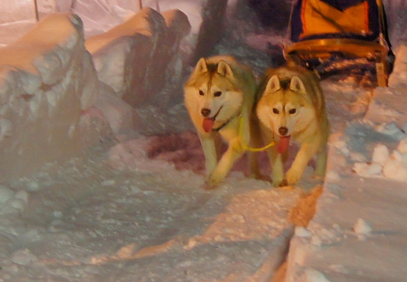 欢寒村 | 冬季限定的冰雪游乐园