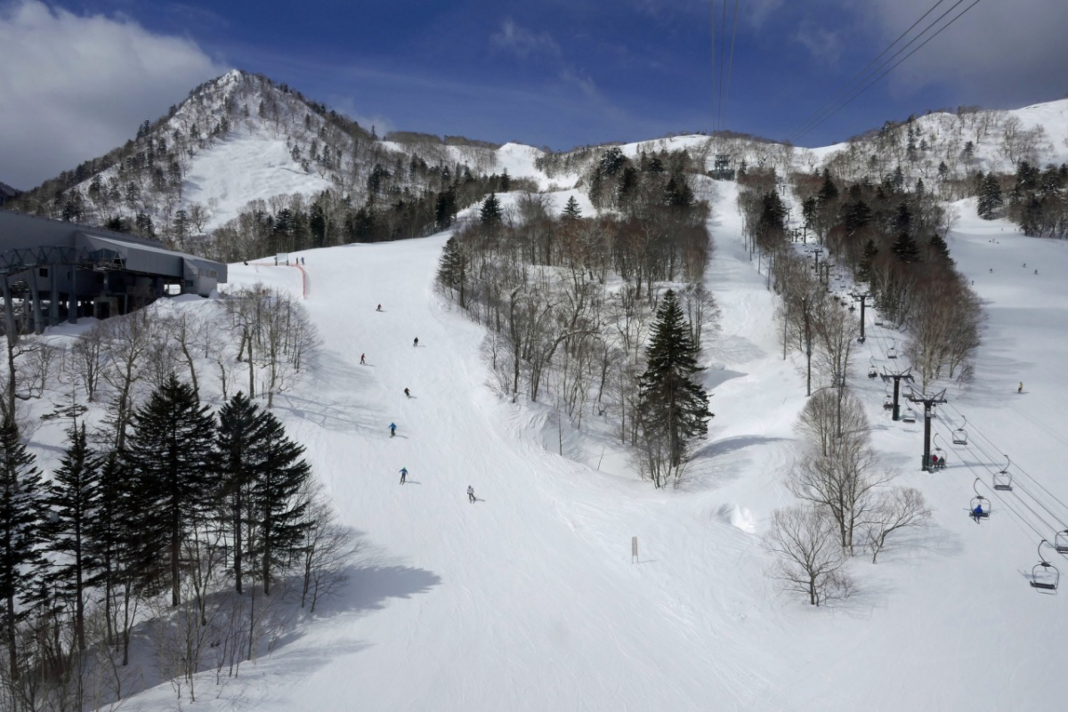 富良野滑雪场 | 享受世界级的粉雪时光