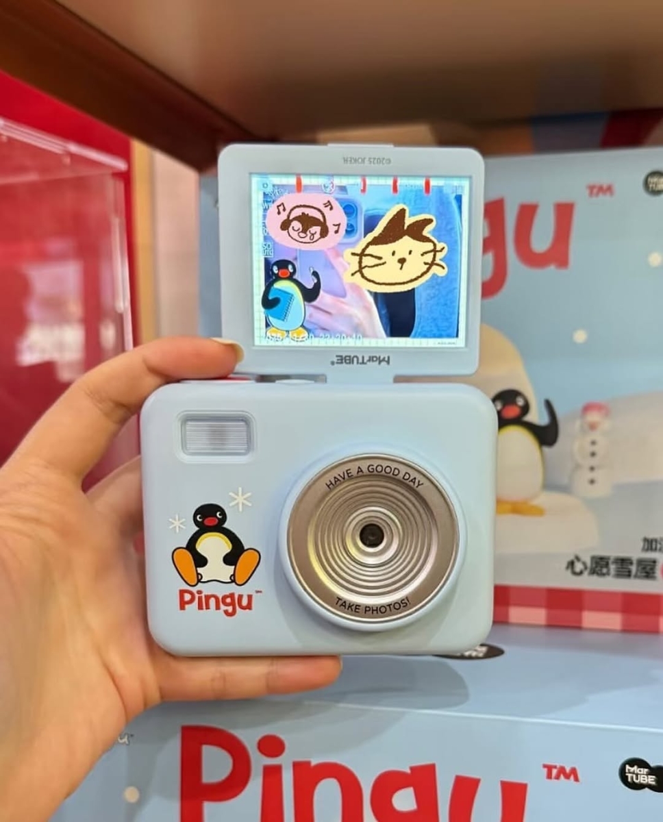 Pingu CCD 相机