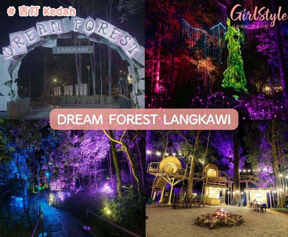 Dream Forest Langkawi
