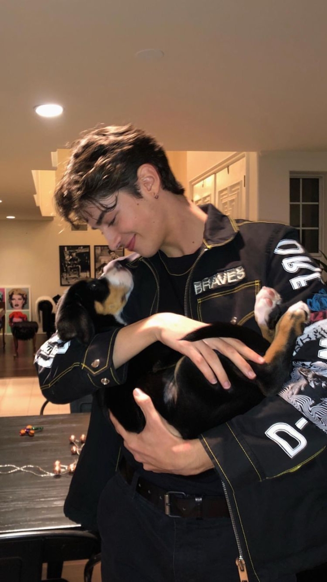 黏人却不烦人，满眼都是你