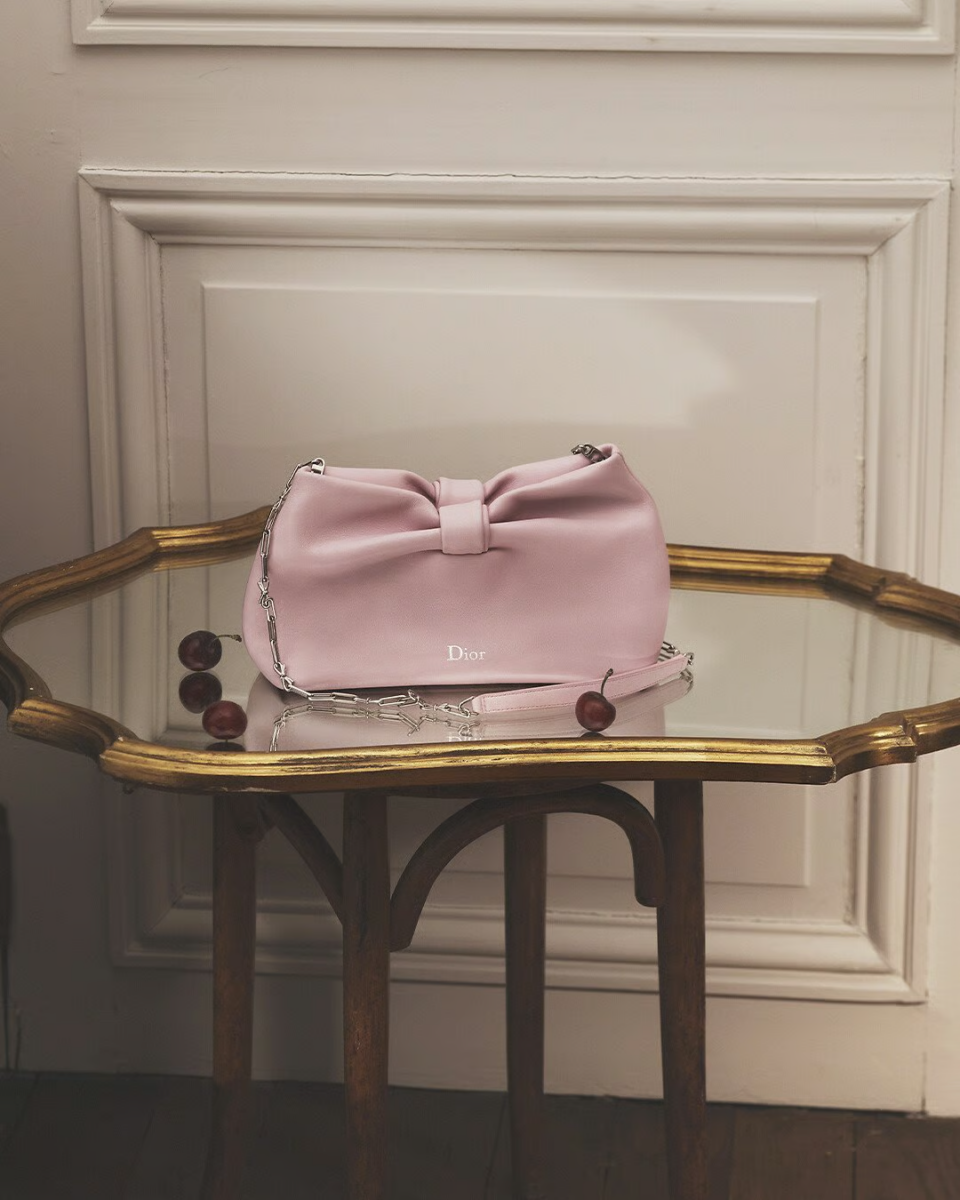 Dior Bow 蝴蝶结包包