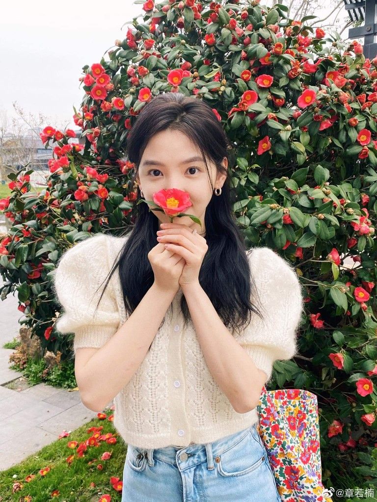 如果你是一朵花，你会是什么样子？