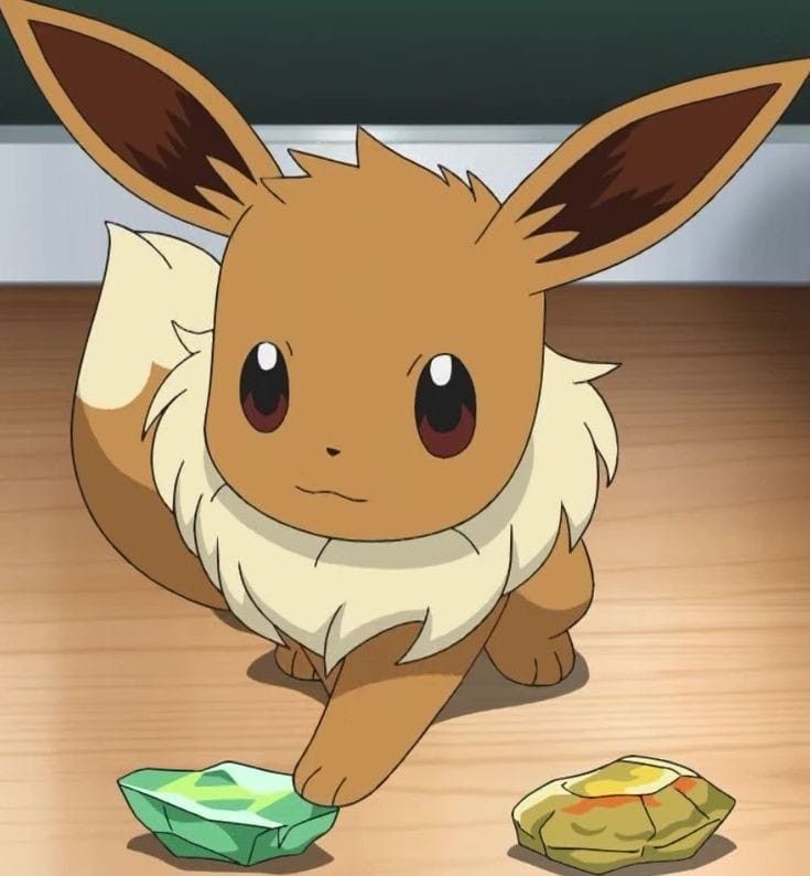 🌟 TOP 7：伊布《Pokemon》