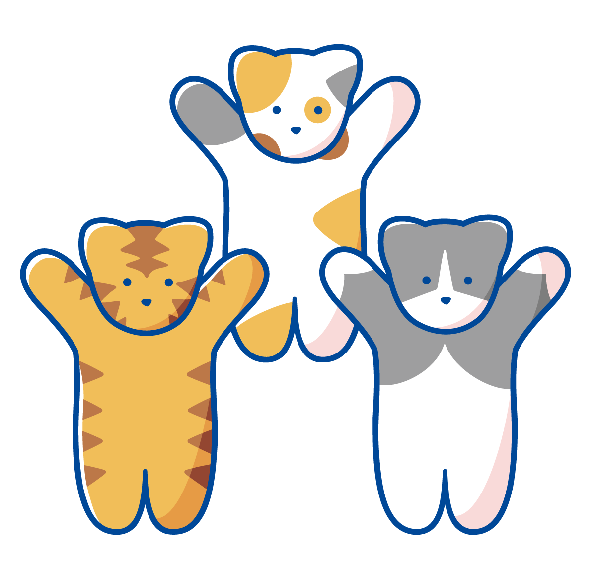 90. 野猫乐园 NoranekoLand：