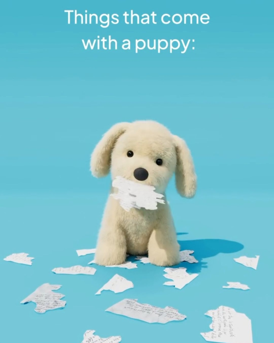 Jellycat 新品 Golden Puppy 真的太萌啦！
