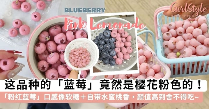 蓝莓竟然是樱花粉色的！🌸 爆红「粉红蓝莓」口感像软糖＋自带水蜜桃香~ ✨ 揭秘 3 大梦幻品种，颜值高到舍不得吃！🫐