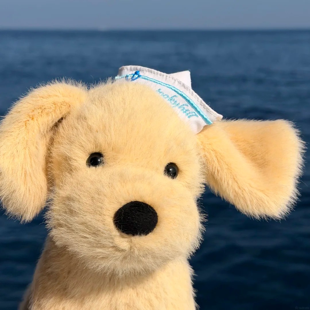 Golden Puppy 的座右铭是：“这世界上没有糟糕的天气，只有错误的态度（或许还有穿错的鞋子！）”