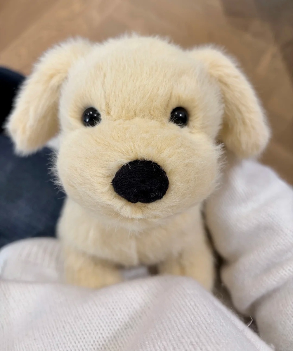 完美比例的抱抱玩伴