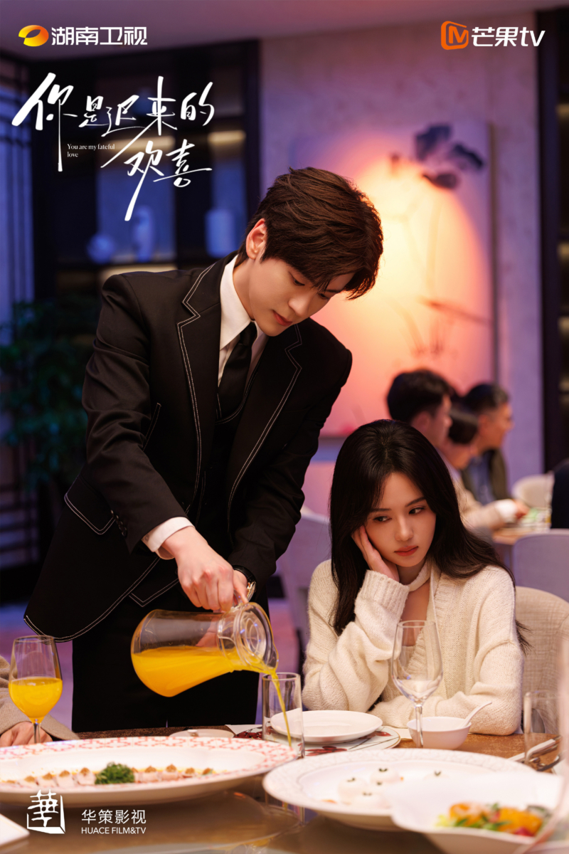 《你是迟来的欢喜》