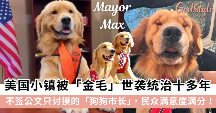 美国小镇被「金毛」世袭统治十多年，不签公文只讨摸的狗狗市长Mayor Max，民众满意度满分！