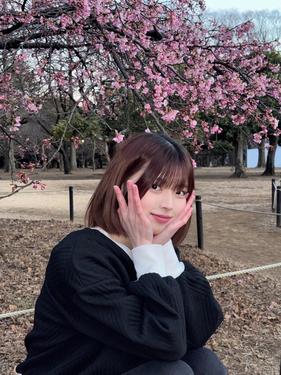 SAINT SATINE——Sakura