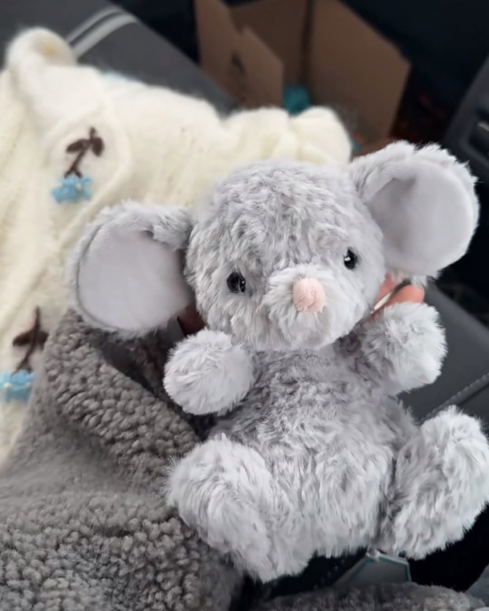 Yummy Mouse